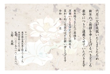 【モ-19】ハス(茶)